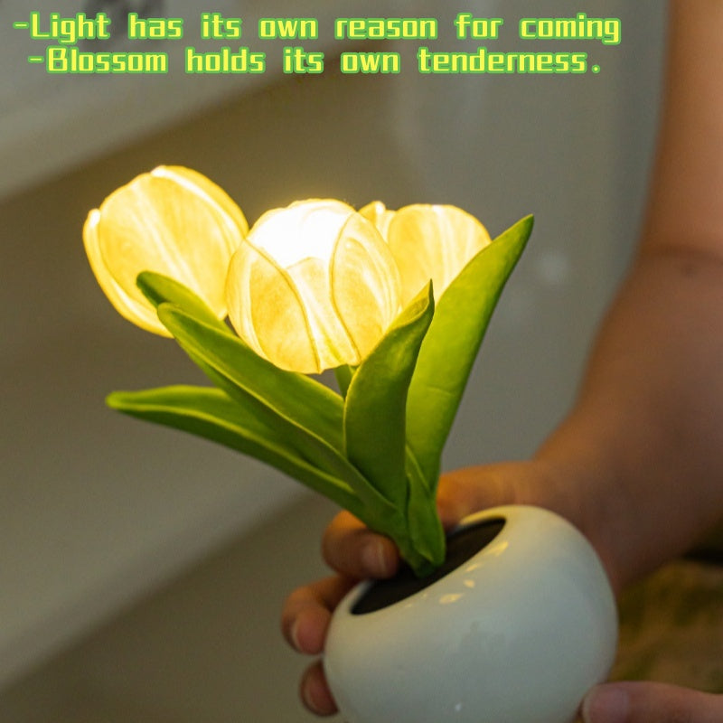 Deliora LumiBloom™