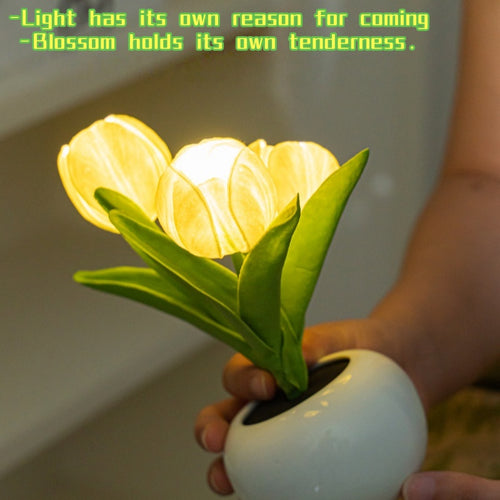 Deliora LumiBloom™