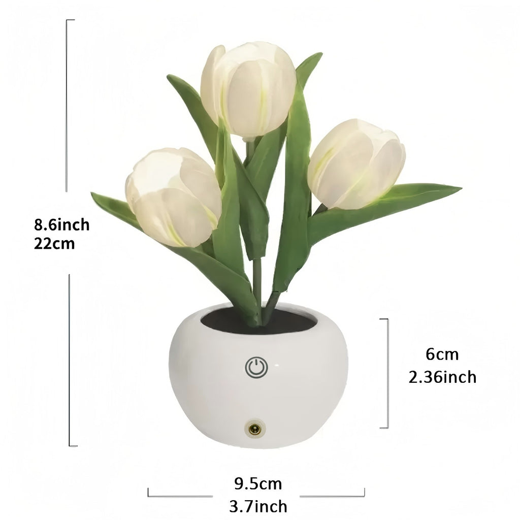Deliora LumiBloom™