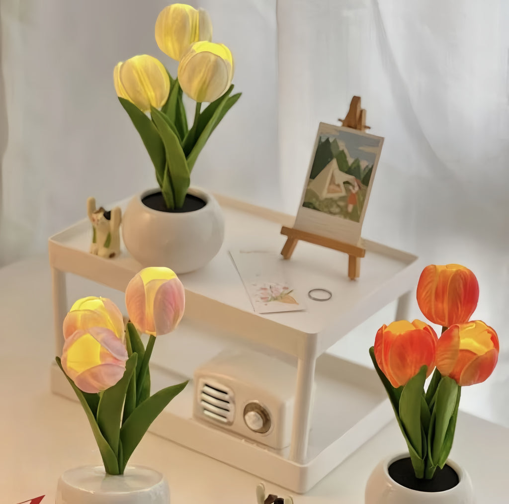 Deliora LumiBloom™