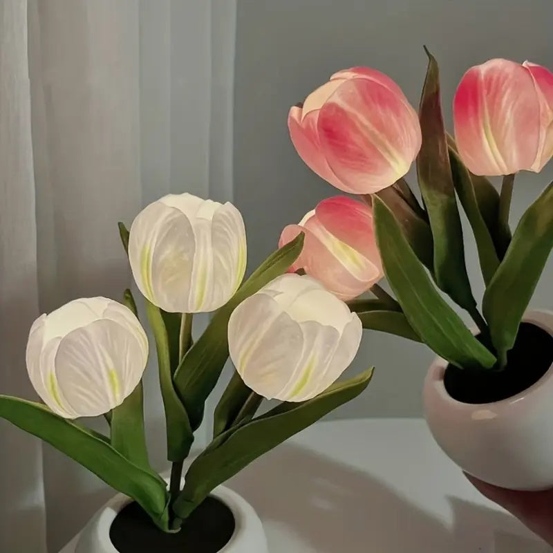Deliora LumiBloom™